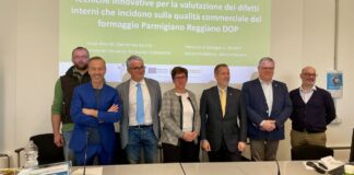 Una “TAC” per il Parmigiano Reggiano