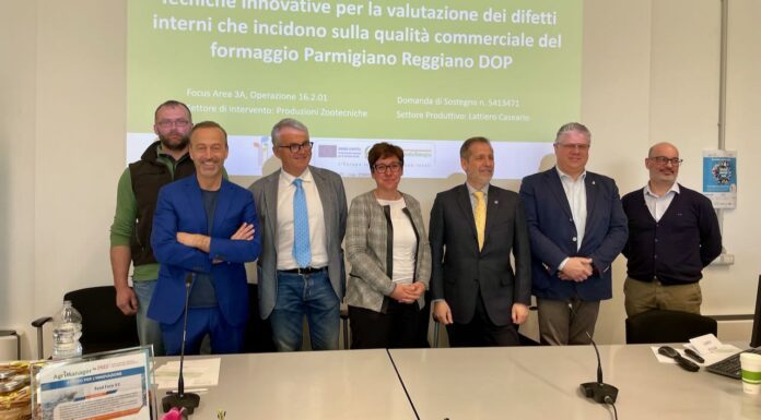 Una “TAC” per il Parmigiano Reggiano