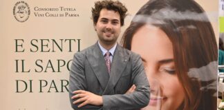 Colli di Parma DOC: la quintessenza del sapore di Parma conquista la piazza di Vinitaly