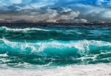 Cereali e dintorni. Burrasca in arrivo