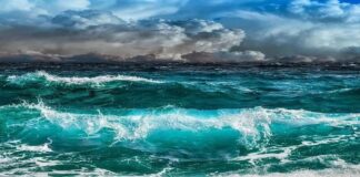 Cereali e dintorni. Burrasca in arrivo