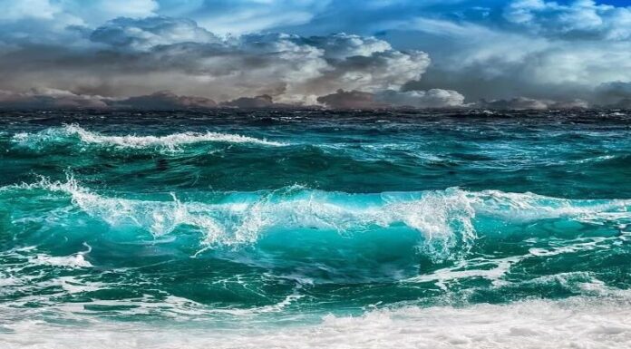 Cereali e dintorni. Burrasca in arrivo