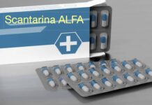 Grilli per la testa e …