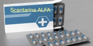 Grilli per la testa e …