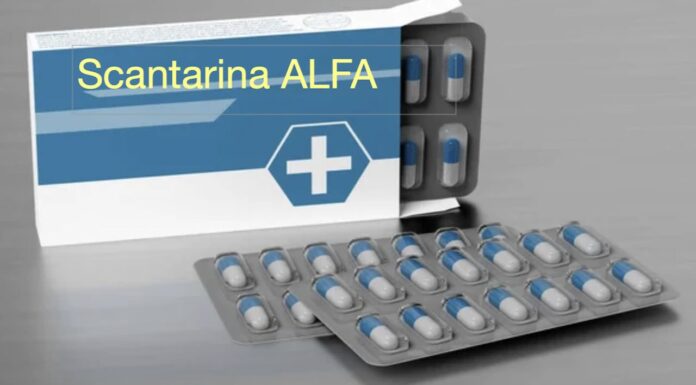 Grilli per la testa e …