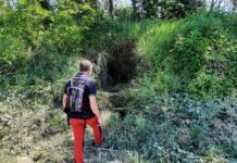 AIPo: il monitoraggio sugli argini di Lamone e Senio conferma la presenza di numerose tane profonde con gallerie lunghe fino a 3/4 metri