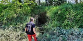 AIPo: il monitoraggio sugli argini di Lamone e Senio conferma la presenza di numerose tane profonde con gallerie lunghe fino a 3/4 metri