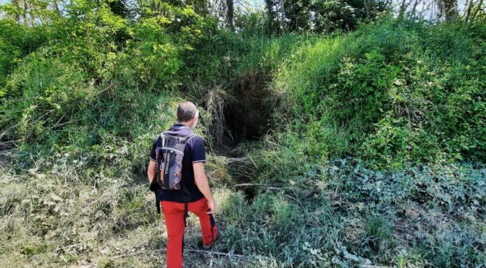 AIPo: il monitoraggio sugli argini di Lamone e Senio conferma la presenza di numerose tane profonde con gallerie lunghe fino a 3/4 metri