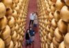Caseifici aperti: oltre 13.000 visitatori alla scoperta dei segreti del Parmigiano Reggiano