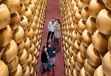 Caseifici aperti: oltre 13.000 visitatori alla scoperta dei segreti del Parmigiano Reggiano