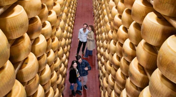 Caseifici aperti: oltre 13.000 visitatori alla scoperta dei segreti del Parmigiano Reggiano