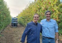 Le mele raccolte da Robot “Volanti”