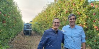 Le mele raccolte da Robot “Volanti”