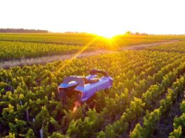 La robotica si fa largo nel vigneto