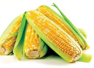 Cereali e dintorni. Mercati disturbati dalle notizie provenienti dal Mar Nero.