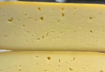 Formaggio contaminato da Escherichia coli. Gravissima bimba di 4 anni