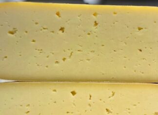 Formaggio contaminato da Escherichia coli. Gravissima bimba di 4 anni