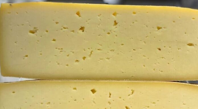 Formaggio contaminato da Escherichia coli. Gravissima bimba di 4 anni