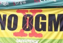 OGM: proposta UE distrugge agricoltura Made in Italy