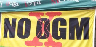 OGM: proposta UE distrugge agricoltura Made in Italy