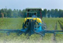 Duttilità e precisione. L’irroratrice a controllo integrale Oktopus Boom di Nobili è indicata per le colture orticole. (Video).