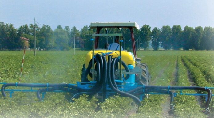 Duttilità e precisione. L’irroratrice a controllo integrale Oktopus Boom di Nobili è indicata per le colture orticole. (Video).