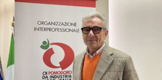 Trasformati di pomodoro: nel 2022 calo del 10% in quantità rispetto al 2021.