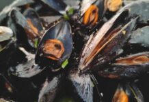 Nuove norme per chi vende cozze. Sanzioni elevate.