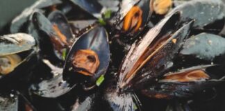 Nuove norme per chi vende cozze. Sanzioni elevate.