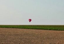 Agricoltura e agroalimentare. Al via una nuova stagione di bandi per innovare e rafforzare produzione, sostegno al reddito e promozione.