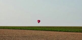Agricoltura e agroalimentare. Al via una nuova stagione di bandi per innovare e rafforzare produzione, sostegno al reddito e promozione.