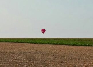 Agricoltura e agroalimentare. Al via una nuova stagione di bandi per innovare e rafforzare produzione, sostegno al reddito e promozione.