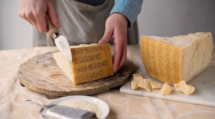 CHEESE 2023: Parmigiano Reggiano Main Partner dell’evento Internazionale di Slow Food