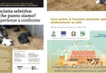 Convegni, corsi, workshop: la ricca stagione della formazione di Alleva Forum