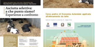 Convegni, corsi, workshop: la ricca stagione della formazione di Alleva Forum