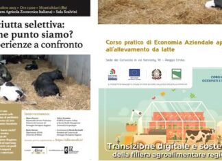 Convegni, corsi, workshop: la ricca stagione della formazione di Alleva Forum