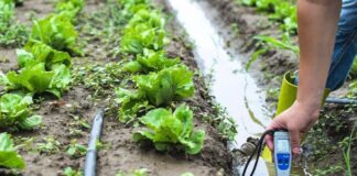 “Prezzi alle stelle, non ce la facciamo più”