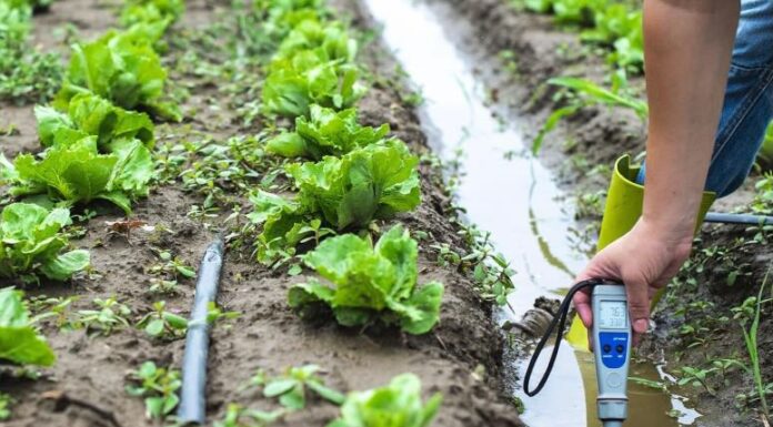 “Prezzi alle stelle, non ce la facciamo più”