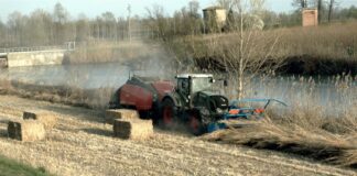 La trincia WS-BIO, l’ideale per le colture energetiche