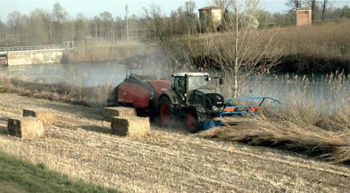 La trincia WS-BIO, l’ideale per le colture energetiche