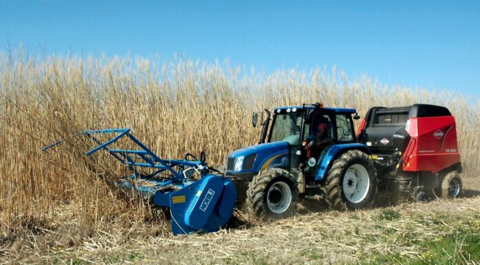 Per le colture energetiche: trincia WS-BIO di Nobili Spa