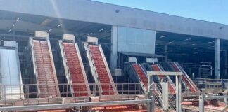 Pomodoro da industria, conclusa nel Nord Italia la campagna di raccolta 2023