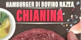 Hamburgher di bovino a rischio Escherichia coli Stec, ecco il lotto e la marca richiamata.