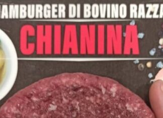 Hamburgher di bovino a rischio Escherichia coli Stec, ecco il lotto e la marca richiamata.
