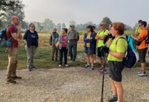 Pavia, Crossroads of Europe