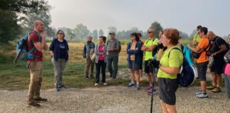 Pavia, Crossroads of Europe
