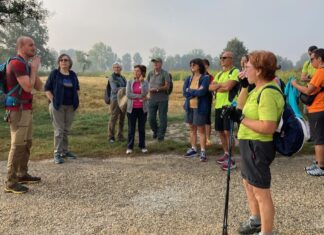 Pavia, Crossroads of Europe