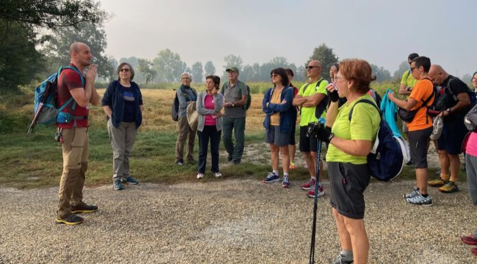 Pavia, Crossroads of Europe