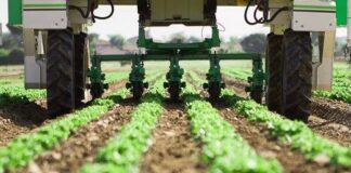 Agricoltura: apertura sportello “fondo innovazione Ismea” posticipata al 27 novembre