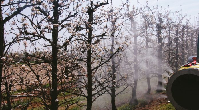 Da Nobili spa “Antis – P”: l’efficace irroratrice dai bassi costi di esercizio.